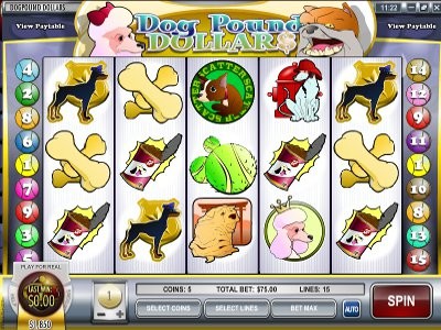 Slot Games Rules